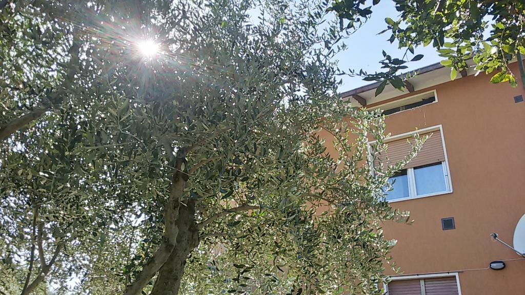 Appartement Il Borghetto à San Lorenzo in Campo Extérieur photo